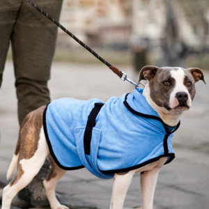 Dog Jumpsuit