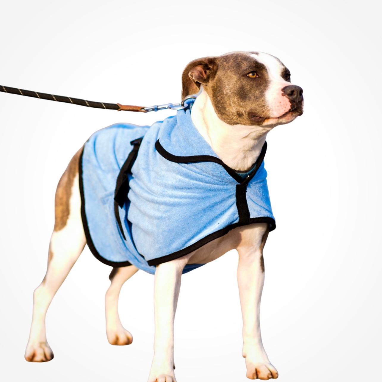 Dog Jumpsuit